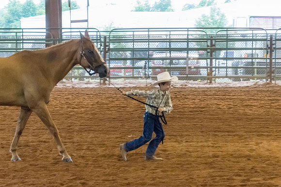 4-h-horse-show-524