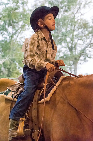 4-h-horse-show-908