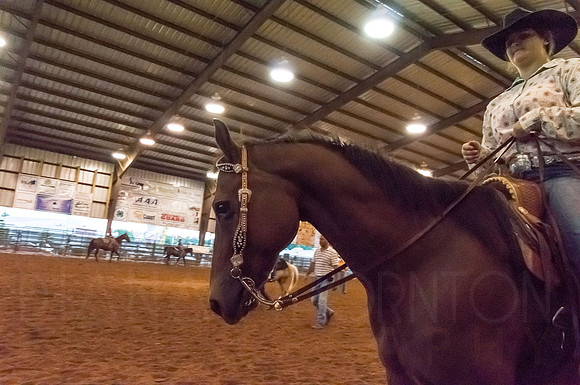 4-h-horse-show-969