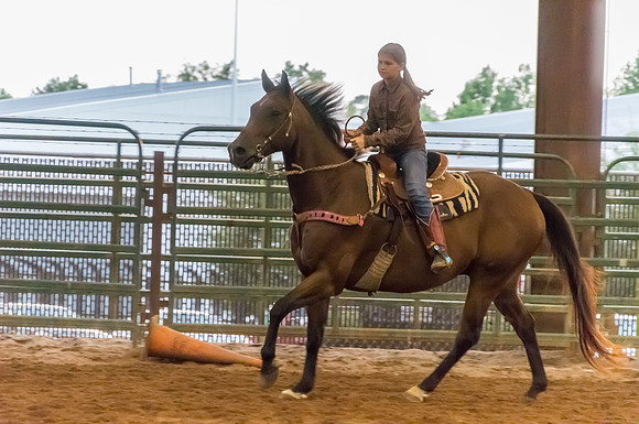 4-h-horse-show-918