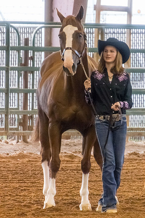 4-h-horse-show-633