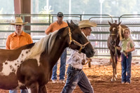 4-h-horse-show-421
