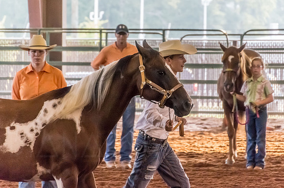 4-h-horse-show-421