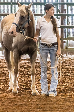 4-h-horse-show-571