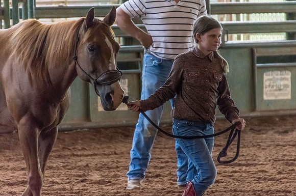 4-h-horse-show-344