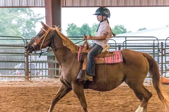 4-h-horse-show-764