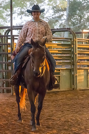 4-h-horse-show-822