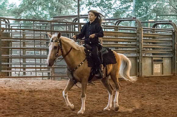 4-h-horse-show-893