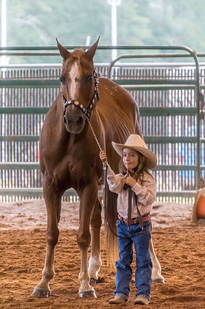 4-h-horse-show-520