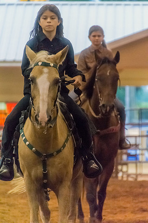 4-h-horse-show-930