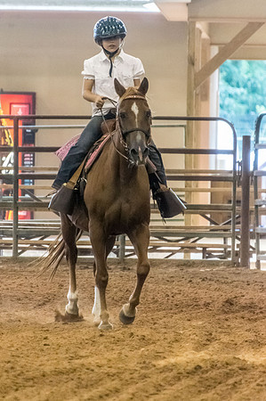 4-h-horse-show-732
