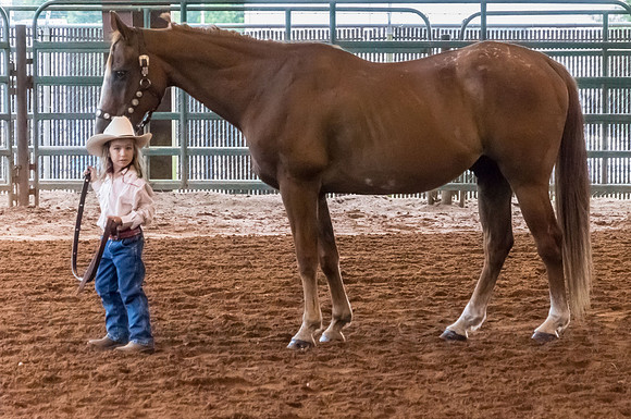 4-h-horse-show-666