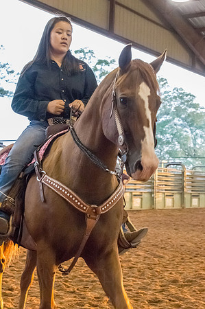 4-h-horse-show-838