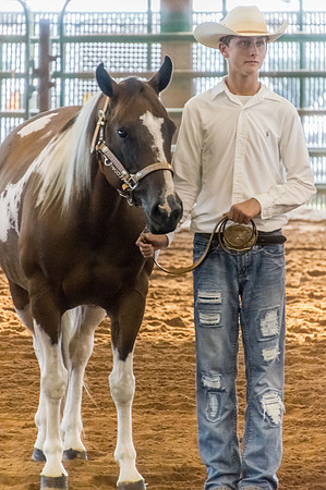 4-h-horse-show-473