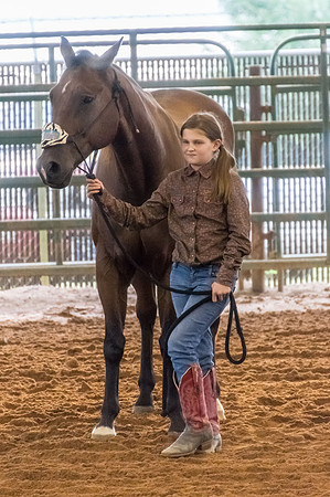 4-h-horse-show-558