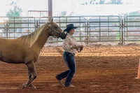 4-h-horse-show-375