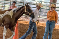 4-h-horse-show-419