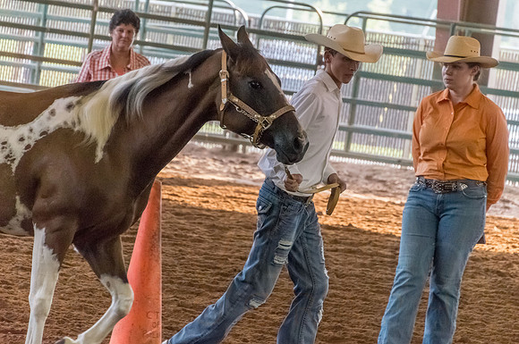 4-h-horse-show-419