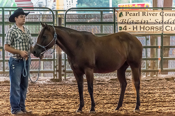 4-h-horse-show-460
