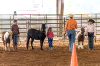 4-h-horse-show-325