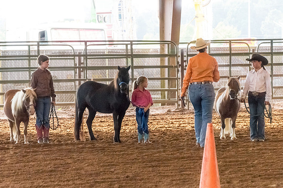 4-h-horse-show-325