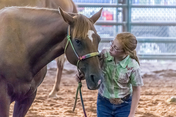 4-h-horse-show-468