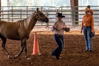 4-h-horse-show-371