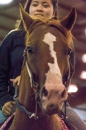 4-h-horse-show-988