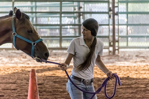 4-h-horse-show-357