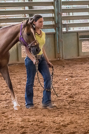 4-h-horse-show-587