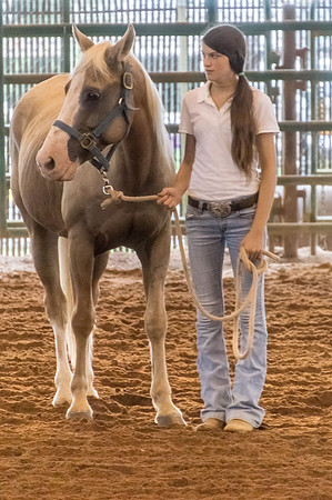 4-h-horse-show-559