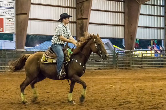 4-h-horse-show-1052