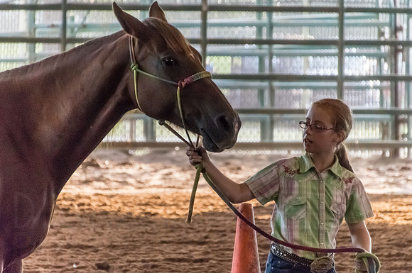 4-h-horse-show-337