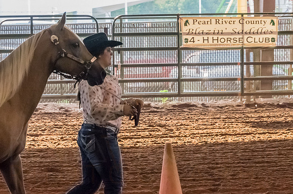 4-h-horse-show-377