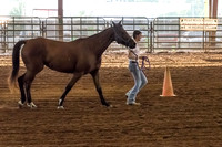4-h-horse-show-362
