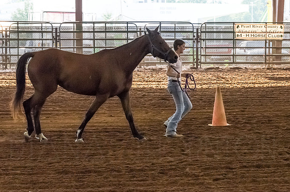 4-h-horse-show-362