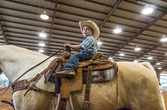 4-h-horse-show-785