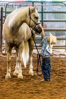 4-h-horse-show-664