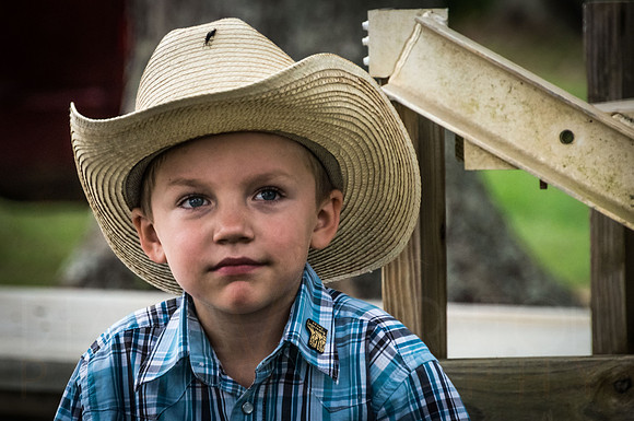 4-h-horse-show-72
