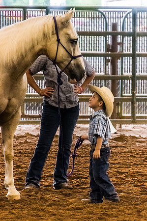 4-h-horse-show-602