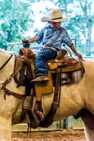 4-h-horse-show-768