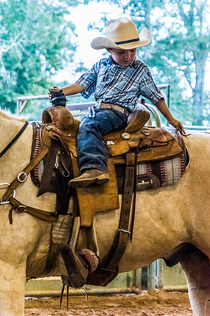 4-h-horse-show-768