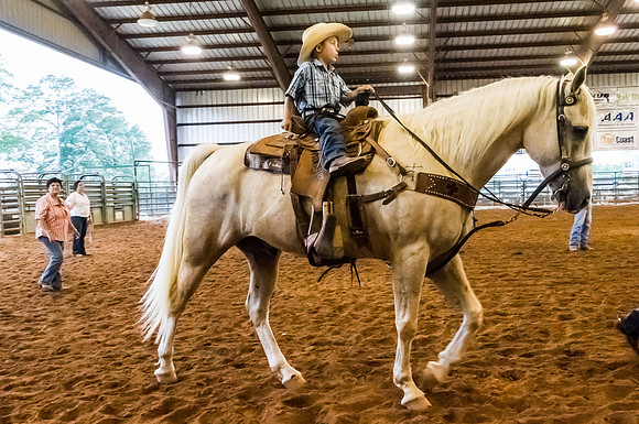4-h-horse-show-774